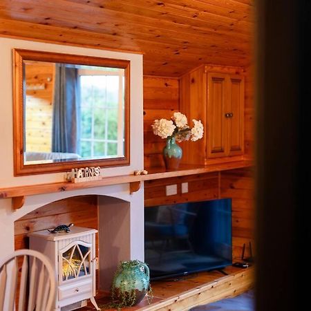 Rural Log Cabin In Snowdonia Near Coed Y Brenin By Seren Short Stays Ffestiniog Buitenkant foto