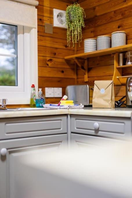 Rural Log Cabin In Snowdonia Near Coed Y Brenin By Seren Short Stays Ffestiniog Buitenkant foto