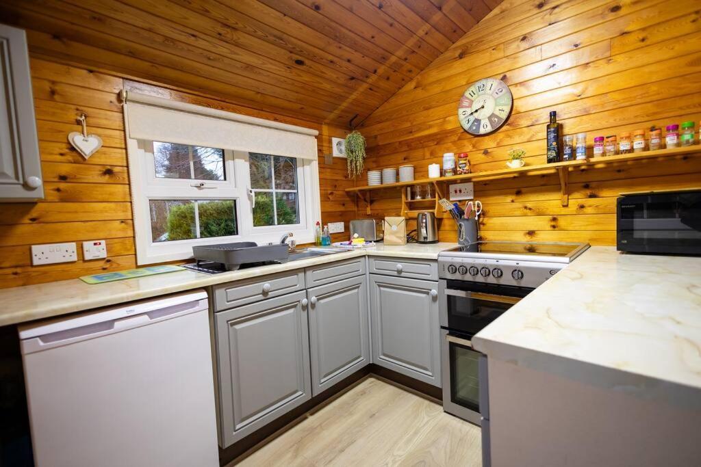 Rural Log Cabin In Snowdonia Near Coed Y Brenin By Seren Short Stays Ffestiniog Buitenkant foto
