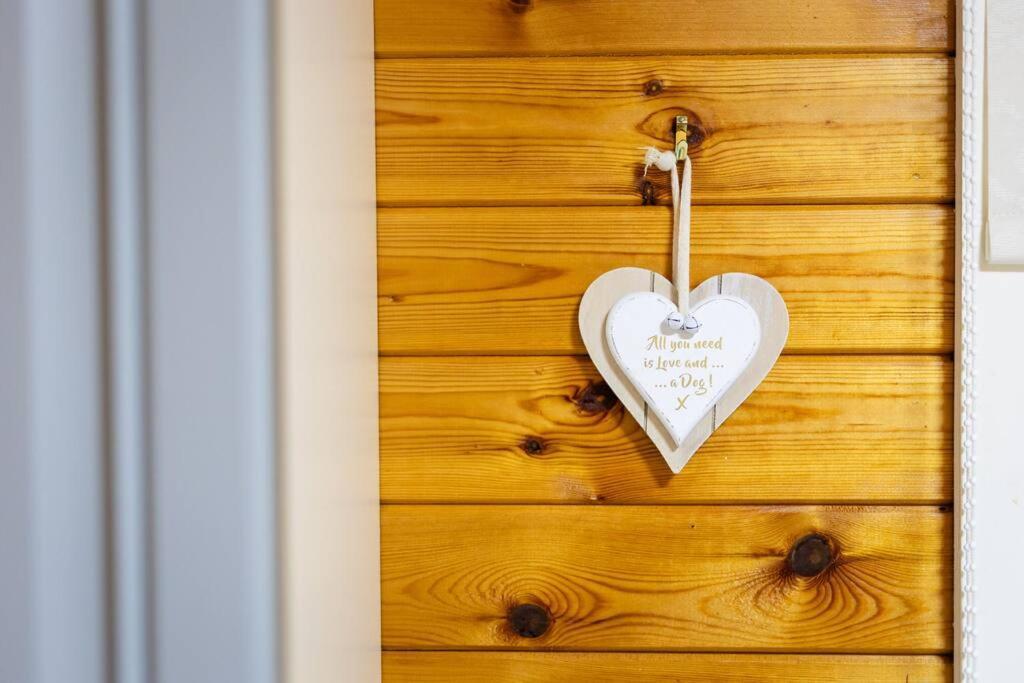 Rural Log Cabin In Snowdonia Near Coed Y Brenin By Seren Short Stays Ffestiniog Buitenkant foto